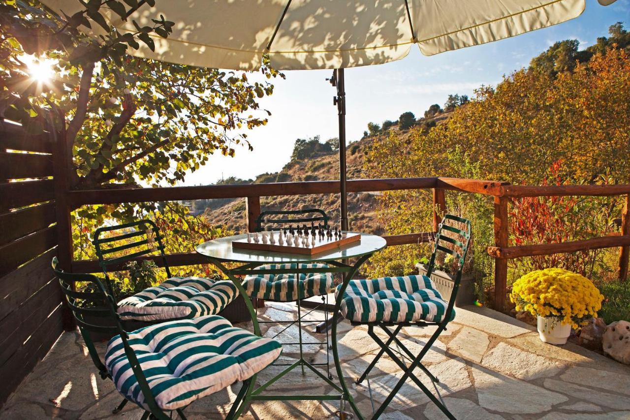 Pelion Homes Agios Georgios Nileias Bagian luar foto