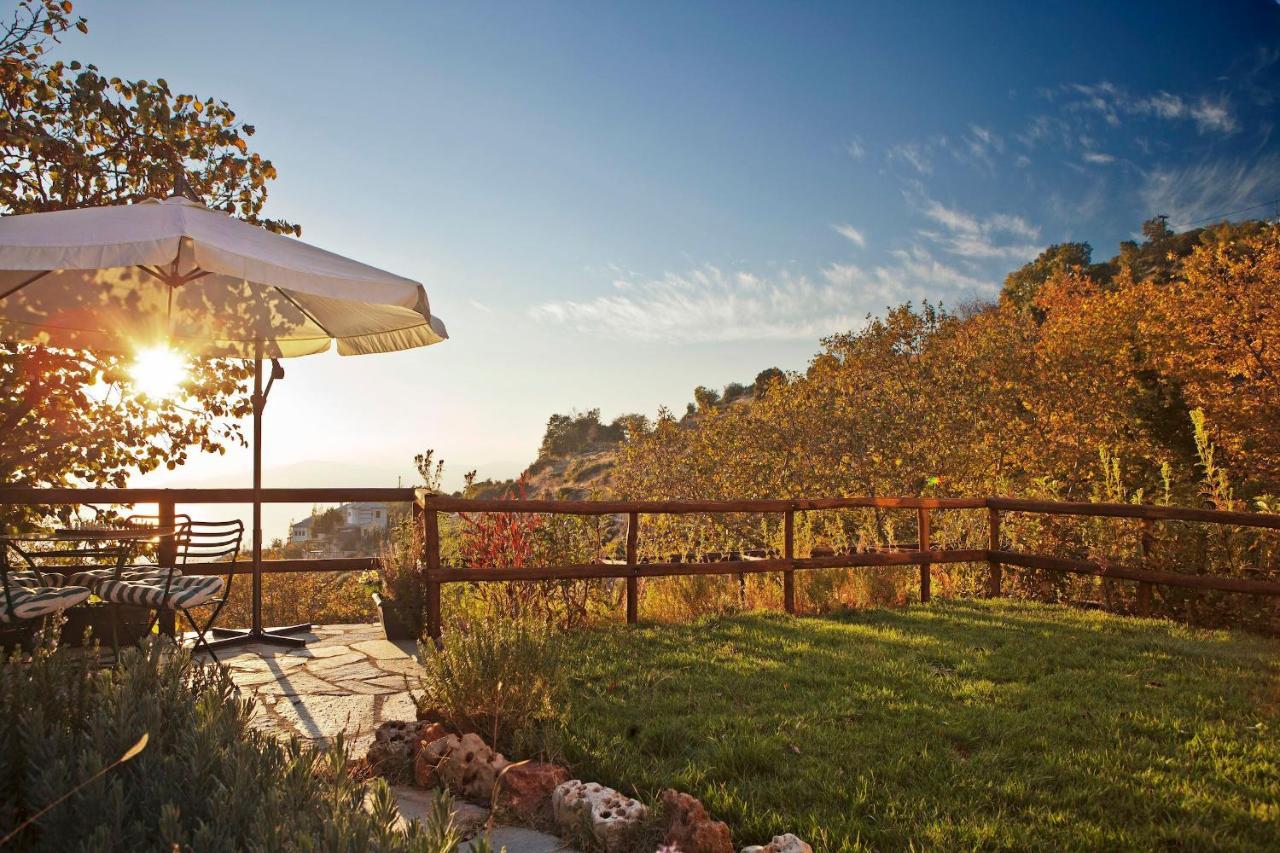 Pelion Homes Agios Georgios Nileias Bagian luar foto
