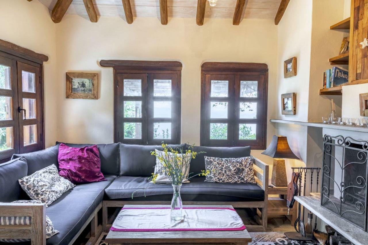 Pelion Homes Agios Georgios Nileias Bagian luar foto